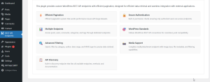 Advanced WP REST API Manager illustration