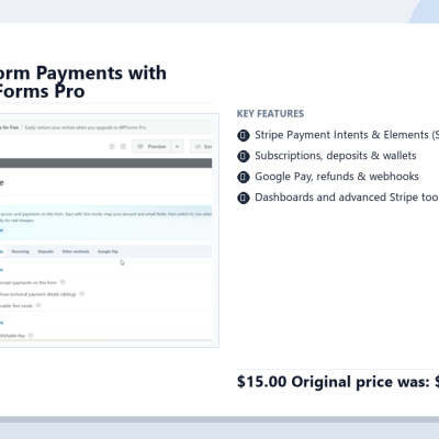 Thenameda Form Payments with Stripe for WPForms Pro